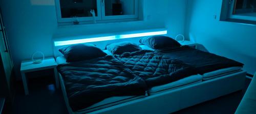 Fotografie z fotogalerie ubytování Grüne Auszeit Dresden 2 v Drážďanech