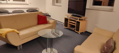 ein Wohnzimmer mit Sofa und Fernseher in der Unterkunft Family Room Grüne Auszeit Dresden in Dresden