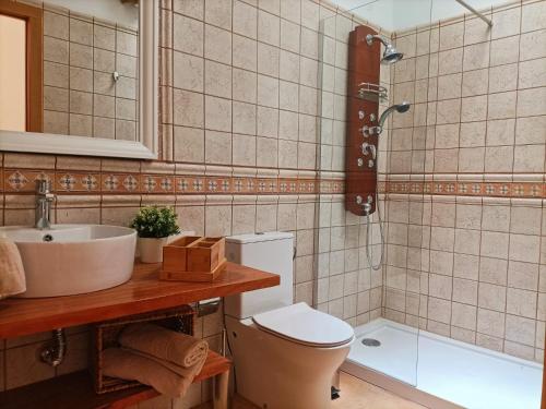 Casa Buena Vista - Rural Oasis في Alajeró: حمام مع حوض ومرحاض ودش