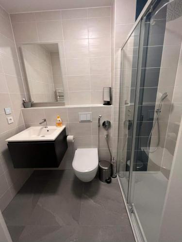a bathroom with a toilet and a sink and a shower at Cloche d Or modern 2 bed in Luxembourg