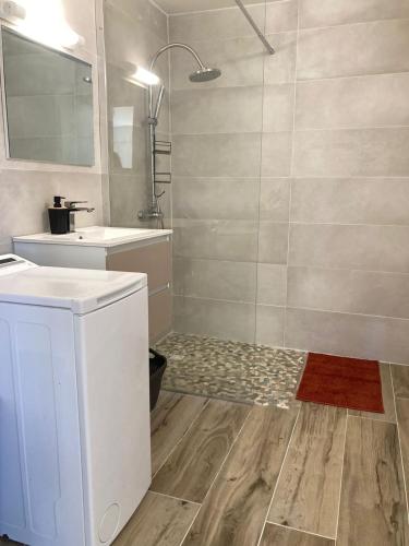a bathroom with a shower and a sink and a toilet at Ti Zeinga La T2 avec piscine et spa privatifs Sainte-Anne in Sainte-Anne