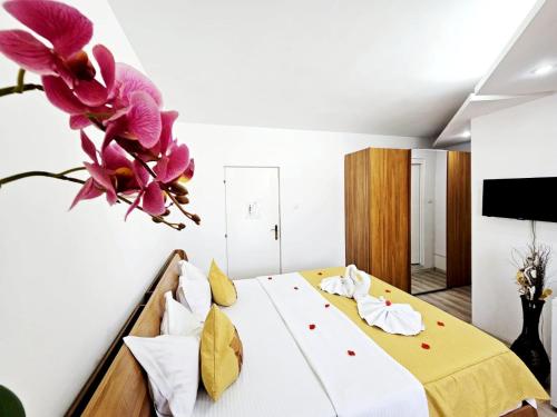 TV a/nebo společenská místnost v ubytování Pensiunea Red Rose Apartments