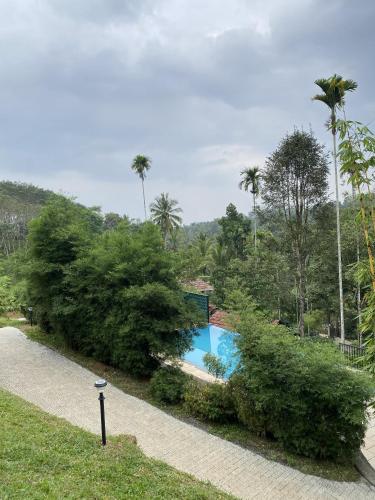 a swimming pool in a park with palm trees at Skyleaf Resort in Meenangadi