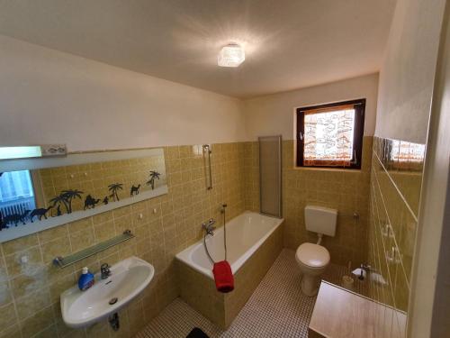 une salle de bain avec une baignoire, des toilettes et un lavabo dans l'établissement Ferienhaus Erika, à Zorge