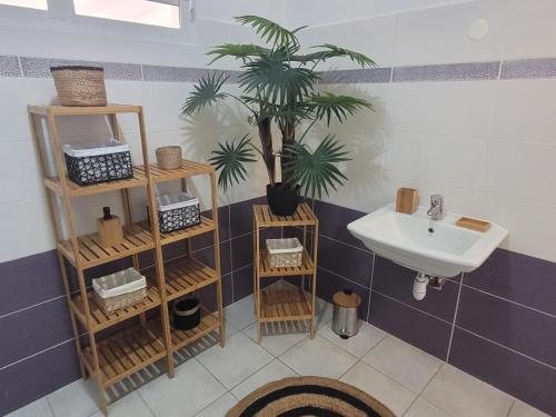 a bathroom with a sink and a potted plant at Villa Mahault in Petit-Bourg