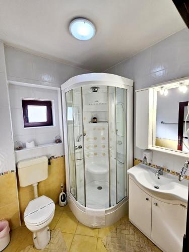 a bathroom with a shower and a toilet and a sink at Rose Apartments in Timişoara