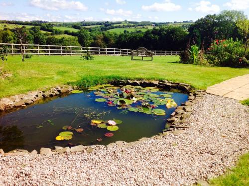 a pond with a bunch of lilies in a yard at Fernside Bed and Breakfast in Templeton