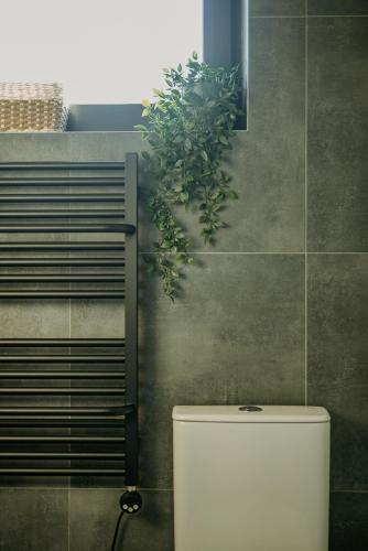 a toilet with a plant above it in a bathroom at Laimeskalni in Koknese