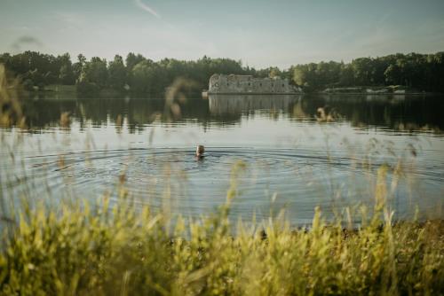 Příroda nedaleko prázdninového domu