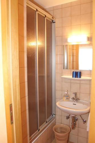 a bathroom with a shower and a sink at Haus Sonnenschein in Üdersdorf