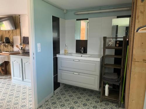 ein Badezimmer mit Waschbecken und Spiegel in der Unterkunft Petit gîte à la ferme des buttons in Rosnay