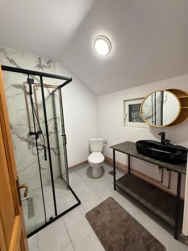 a bathroom with a toilet and a sink and a mirror at La Canton Cheia in Cheia