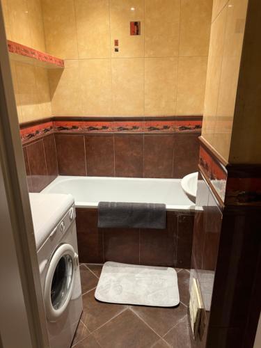 Un baño de Dwupokojowy Apartament przy Piotrkowskiej
