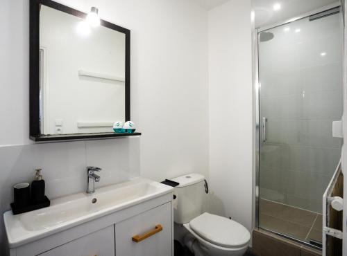 a bathroom with a sink and a toilet and a mirror at LE 219 - Maison tout confort à Amiens Wi-Fi rapide, Netflix, calme & proche centre in Amiens
