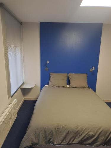 een slaapkamer met een groot bed met een blauwe muur bij Le nid in Colmar