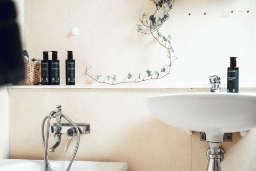 SolsidanにあるStylish Townhouse Near Stockholm Natureのバスルーム(シンク、ボトル入り棚付)