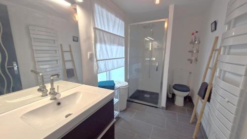 ein Badezimmer mit Waschbecken, Dusche und Toilette in der Unterkunft Maison de pêcheur idéalement située in Le Conquet