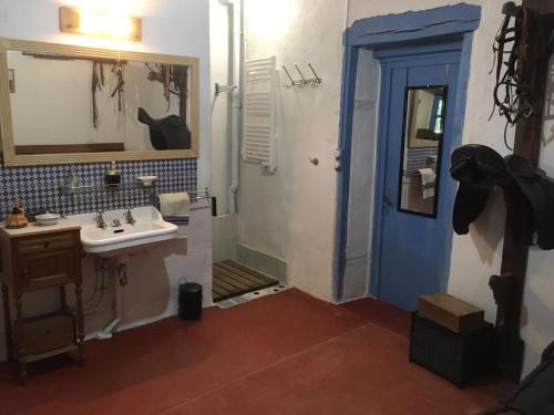 ein Badezimmer mit einem Waschbecken und einer blauen Tür in der Unterkunft Maison de famille XVIIIème avec jardin privatif en pleine nature, proche Châteauroux - FR-1-591-207 in Saint-Maur