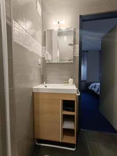 een badkamer met een wastafel en een spiegel bij Le nid in Colmar