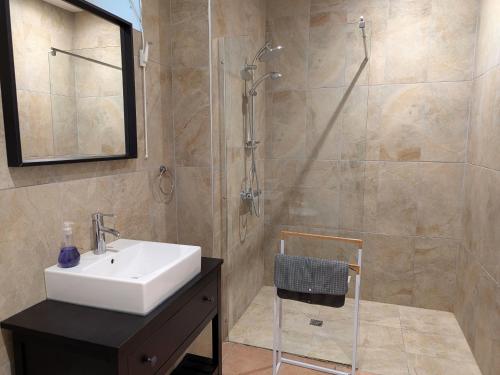 a bathroom with a sink and a shower at Gîte calme en forêt, proche Gien, 3 chambres et 2 salles d'eau - FR-1-590-555 in Ouzouer-sur-Trézée