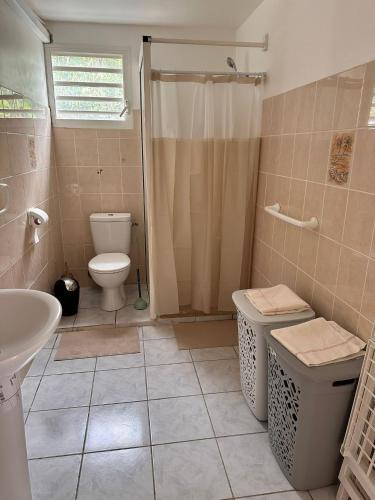 Vannituba majutusasutuses Le Confort Double