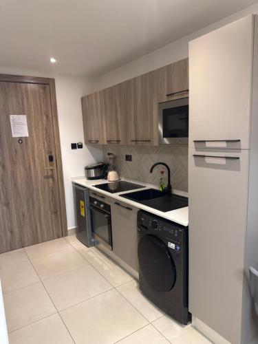 a kitchen with a sink and a dishwasher at Executive studio at East Legon in Accra