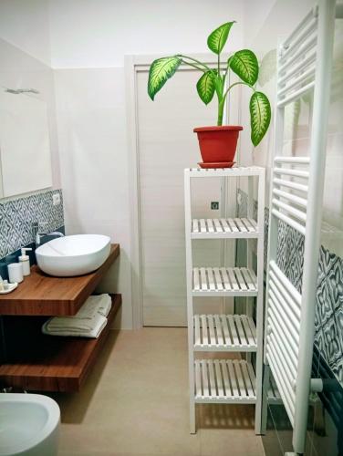 a bathroom with a sink and a plant on a shelf at PETER PAN apartment in Salerno