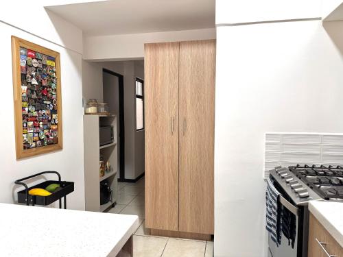 San FranciscoにあるRefugio Cálido en San Francisco de Heredia Baño Privado y Excelente Ubicaciónのコンロとカウンタートップのあるキッチン