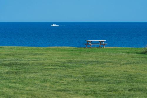 een picknicktafel in een veld met uitzicht op de oceaan bij Blue Ocean Cove Beach House in Saint Peters