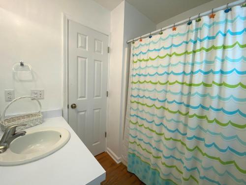 ein Badezimmer mit Waschbecken und Duschvorhang in der Unterkunft Petty House in Edisto Island