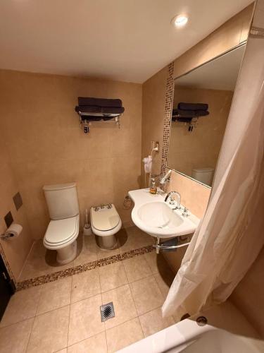 a bathroom with a toilet and a sink and a mirror at Premium Apart centrico con Sauna, piscina y gimnasio in Mendoza