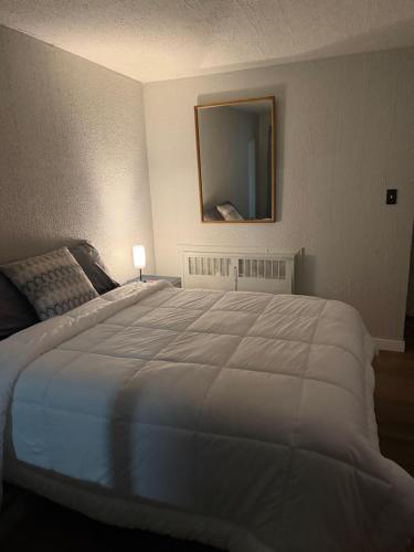 Postel nebo postele na pokoji v ubytování The Mint Motel