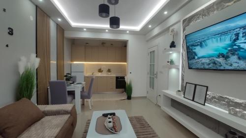Кухня или кухненски бокс в AJKULICA Apartman