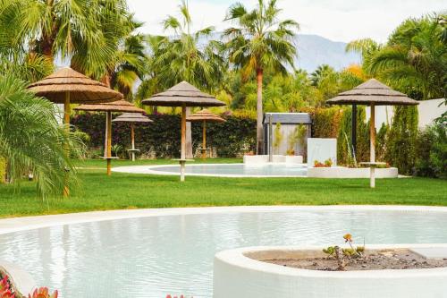 Κήπος έξω από το Dos Mundos