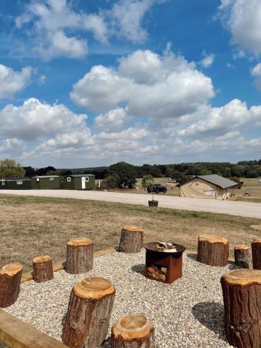 a group of logs and a table in a field at Meadow View Country Park in Horton