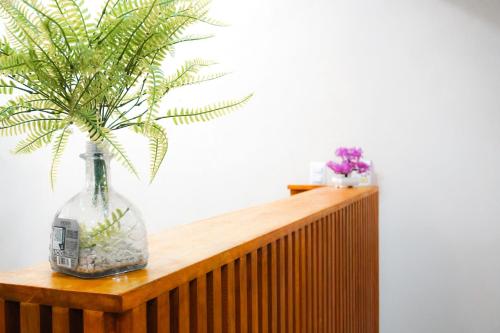 Fotografie z fotogalerie ubytování Hotel Lydna Ki'n v destinaci Bacalar