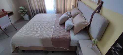 Serenity Palmas-