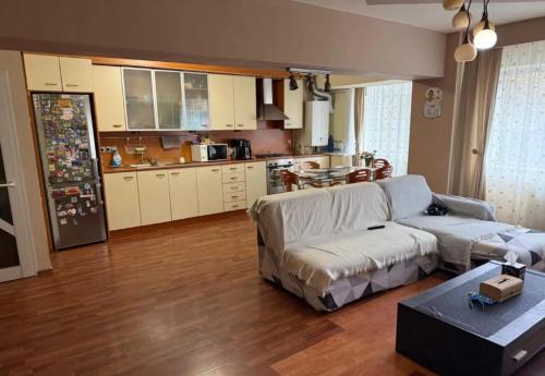 un salon avec un canapé et une cuisine dans l'établissement New Abbey Royal Nest, à Kilcullen