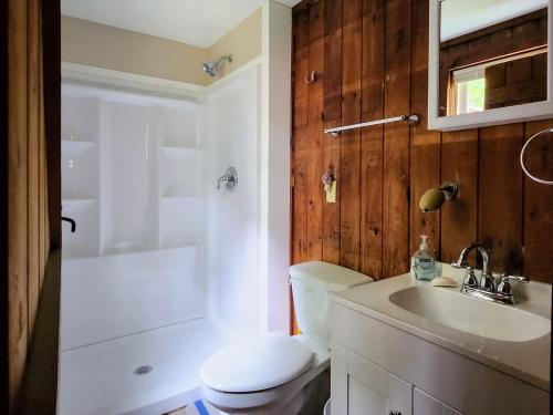 Vannituba majutusasutuses Stunning Foilage Views From The Fire Tower Cabin