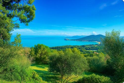 Blick auf das Meer von einem Hügel mit Bäumen in der Unterkunft Azulik Corsica in Corbara