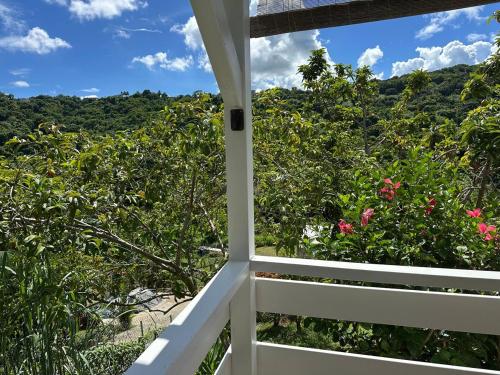 Φυσικό τοπίο κοντά σε αυτό το διαμέρισμα