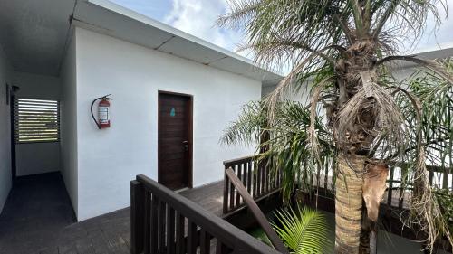 Φωτογραφία από το άλμπουμ του La Balco σε La Paloma