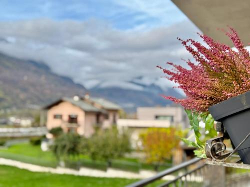 een vaas met bloemen op een balkon bij een huis bij Ca' Prestin - Natura e Relax a 20 minuti da Bormio in Tovo di Sant'Agata