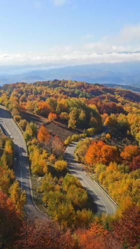 Φυσικό τοπίο κοντά σε αυτό το διαμέρισμα