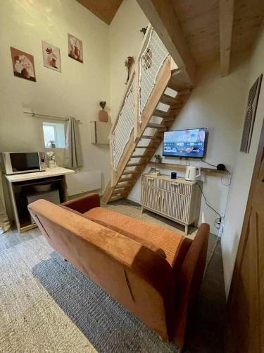 TV a/nebo společenská místnost v ubytování Le Nid Charentais