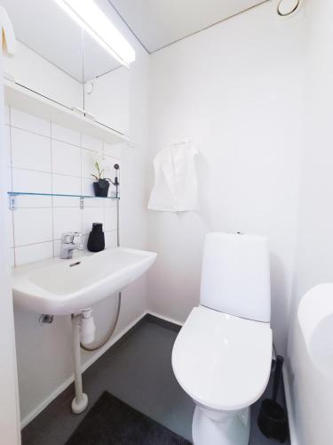 a white bathroom with a toilet and a sink at 3-Room Central Railway station in Oulu