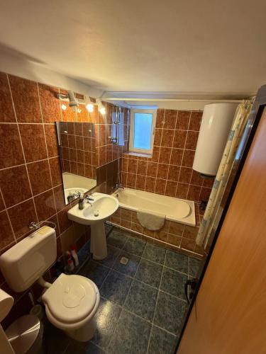 a bathroom with a toilet and a sink and a tub at Villa Bilugu in Valea de Brazi