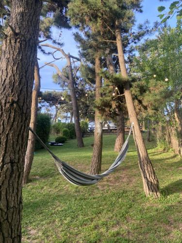 Κήπος έξω από το Mirando al Mar I