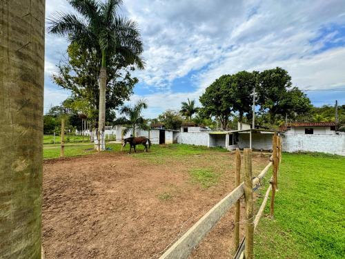 En have udenfor Suítes Ohana