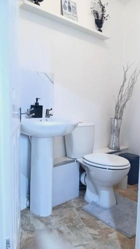 a bathroom with a white sink and a toilet at Shetcliffe Lodge in Dudley Hill
